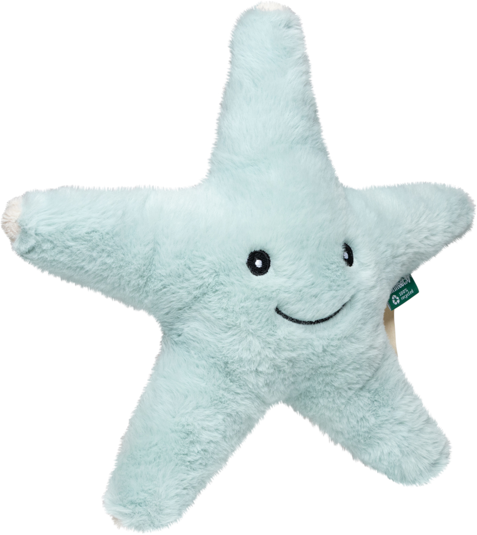 RecycelStarfish pastel green