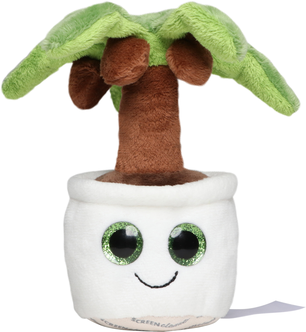 Schmoozies? Evergreenies? Palm Tree