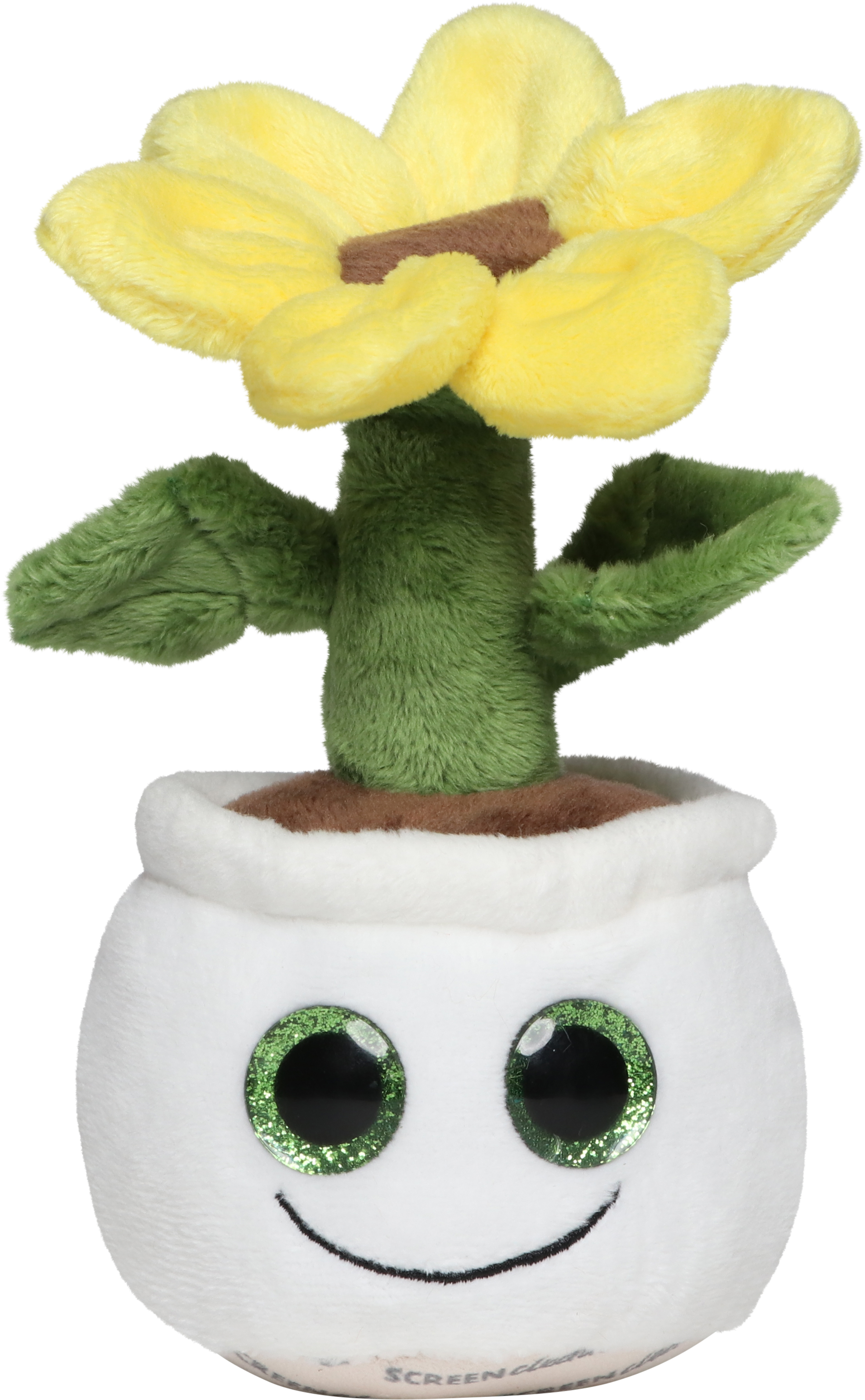 Schmoozies? Evergreenies? Sunflower