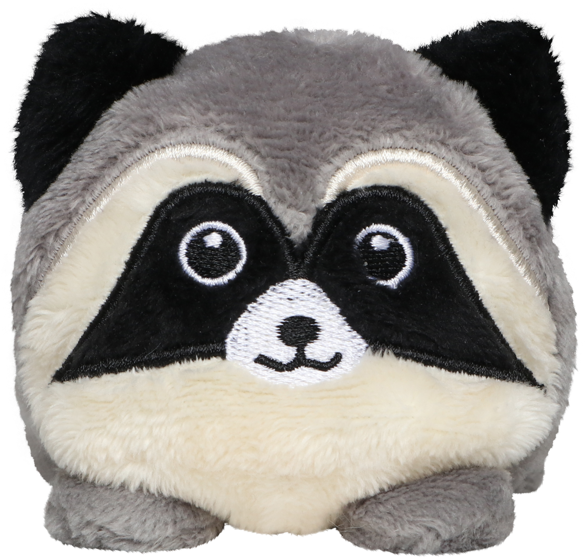 Schmoozies? Raccoon