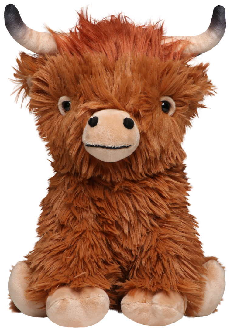 Scottish Highland Cow Bobby