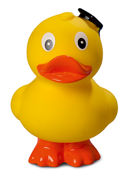 squeaky duck graduate, upright