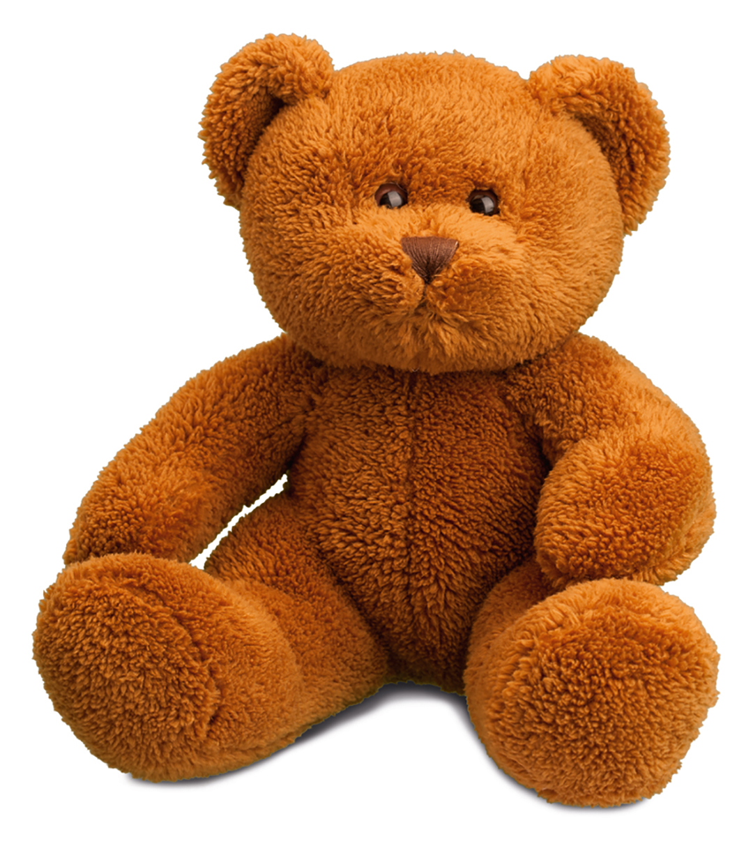 softplush teddy bear