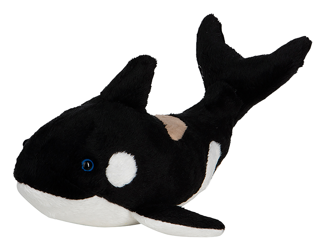 plush orca Phil
